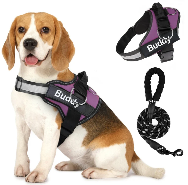 Pet Clothing Dog Couple Chest Strap Rope