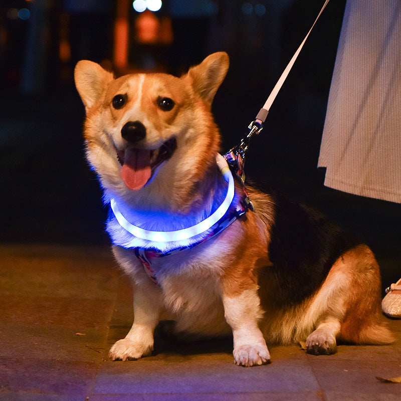 Collar Led luminoso para mascotas, Collar de silicona recargable por USB, correa luminosa para perros, suministros para mascotas