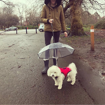 Guarda-chuva transparente para animais de estimação Guarda-chuva para cães Produtos para animais de estimação