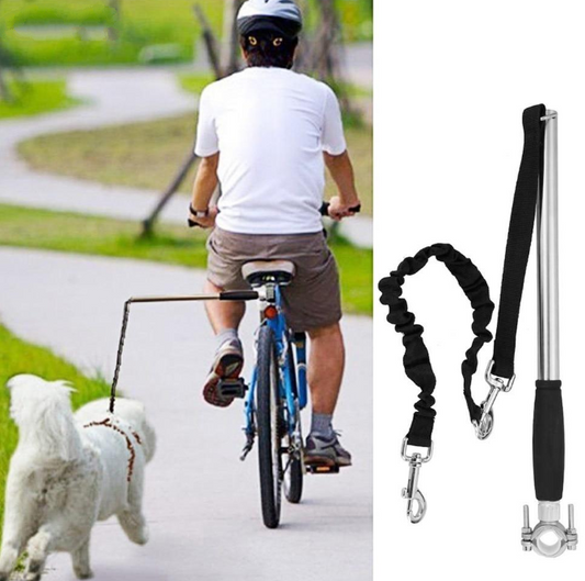 Coleira para cachorro andando de bicicleta