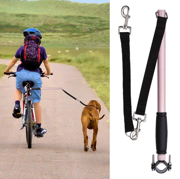 Coleira para cachorro andando de bicicleta