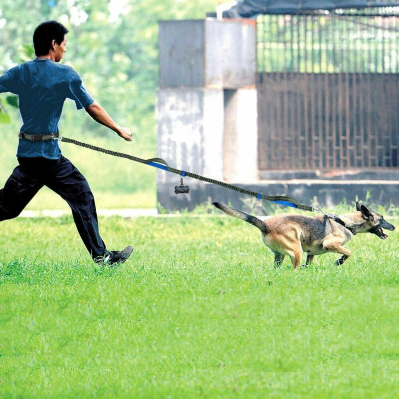 Coleira reflexiva multifuncional para cães, trela elástica dupla para tração