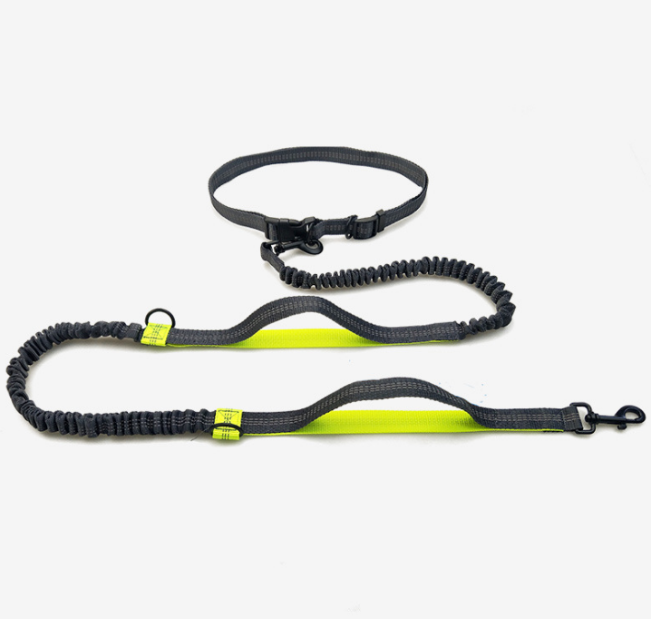 Multi-function running reflective pull dog leash double elastic dog leash traction