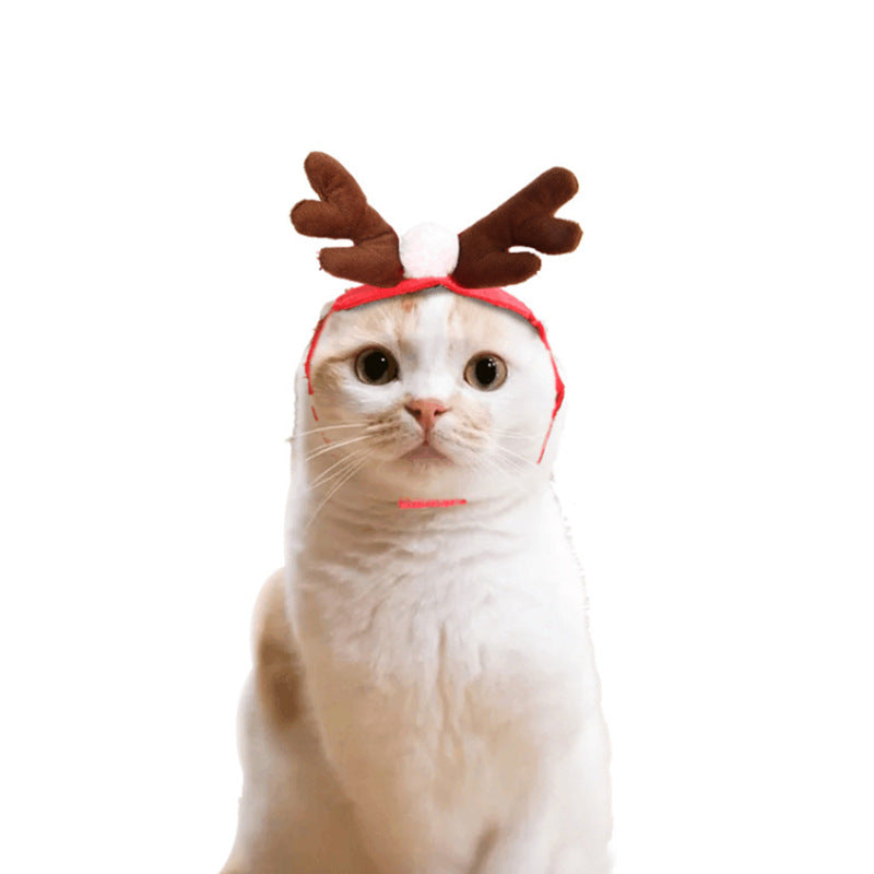 Fantasia de gato e cachorro fofo capa de Natal Halloween disfarce de gato