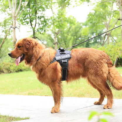 Personalização de produtos com cinta torácica para animais de estimação