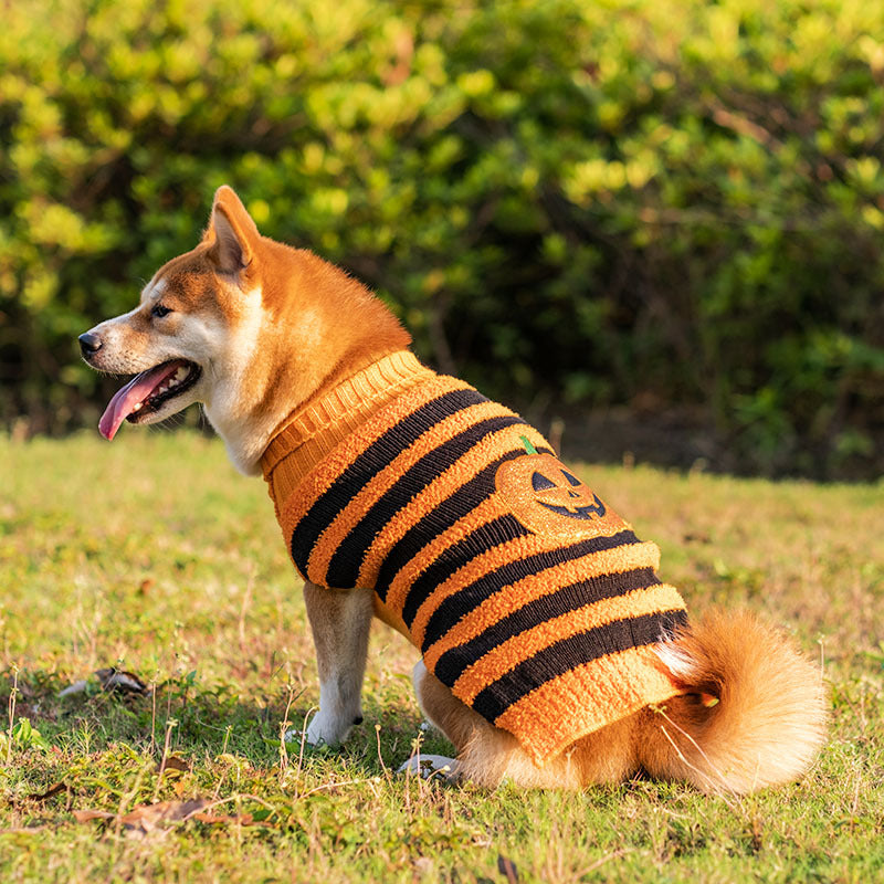 Halloween cão suéteres animal de estimação traje teddy quente lazer camisola cosplay roupas para cães animais de estimação roupas