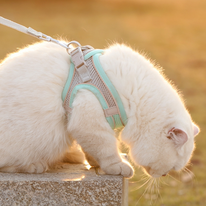 Coleira reflexiva para animais de estimação