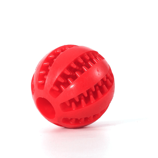 InterActive Pet Ball